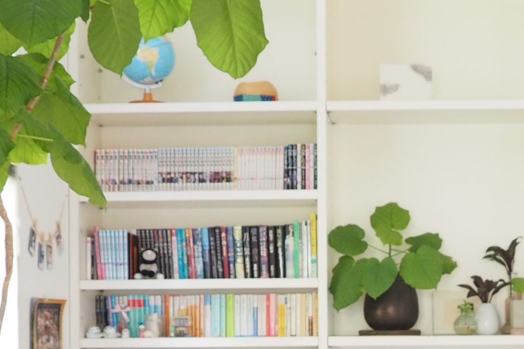 新潟市の整理収納アドバイザーCHIZUの収納お片付け